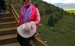 张丽全方位被虐